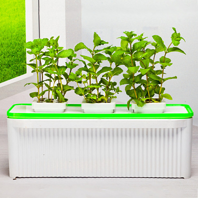 Гидропонная установка HobbyFarm 3 ячейки
