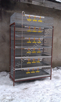 Клетка для перепелов 300 голов (6 ярусов) (КП-300-6я)