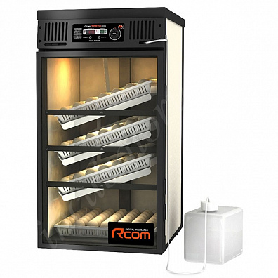 Инкубатор R-com Maru 190 Deluxe MAX