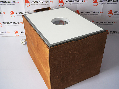 Инкубатор БЛИЦ 48 ц10 (цифровой)