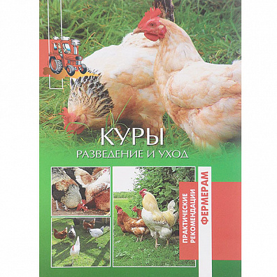 Куры. Разведение и уход